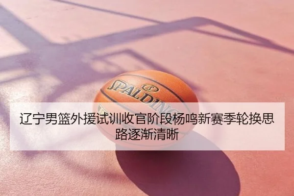 辽宁男篮外援试训收官阶段杨鸣新赛季轮换思路逐渐清晰
