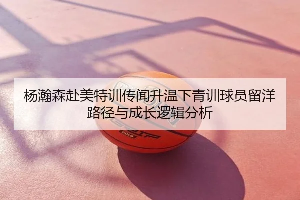杨瀚森赴美特训传闻升温下青训球员留洋路径与成长逻辑分析