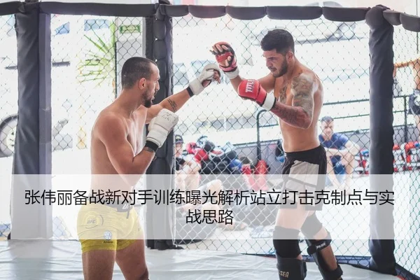 张伟丽备战新对手训练曝光解析站立打击克制点与实战思路